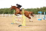 SBM_026947