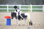 SBM_003960