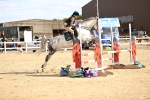 SBM_003675