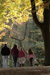 Family walk in Clifton _B082