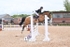 BPP_8378