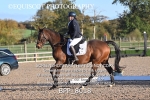BPP_8018