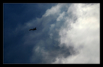 Hornet Patrol