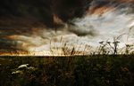 Storm clouds