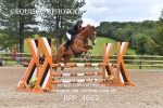BPP_4669
