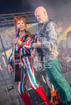 THE BOWIE EXPERIENCE portfolio