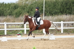 SBM_003848