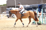 SBM_001596