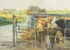 'Cattle at the Gates'