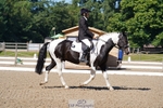 249-Margaret_Latham-Pecan_Rockstar portfolio