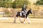SBM_000360