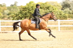 SBM_006583