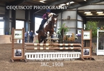 JAC_1908
