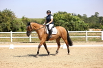 SBM_003989