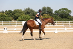 SBM_004987