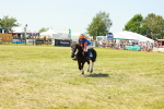 SBM_17220