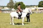 SBM_07081