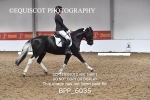 BPP_6035