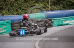 Petit Bot Hillclimb_2015_KART-30
