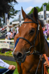 270523-Race 4-River of Stars-0628