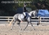 BPP_9446