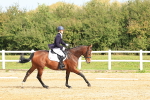 SBM_001539