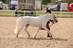 SBM_04595