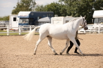 SBM_04547