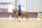 SBM_008373