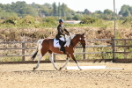 SBM_000787