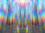 Circle of Light