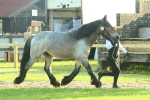SBM_58564