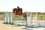 SBM_006673