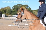 BPP_8398