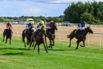 Race 6 16.45pm Racing Again 17th August Handicap portfolio