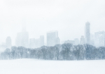 SKYLINE - CENTRAL PARK