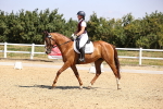 SBM_003709
