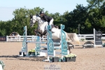 Saturday 2nd - Click to Enter portfolio