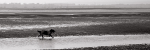 W.Wittering Panoramas - 03