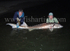 Monster Sturgeon.