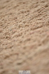 230630A-165506-03526