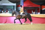 SBM_10681