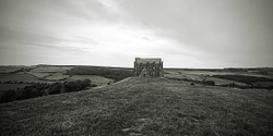 Scattered Black and Whites portfolio