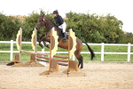 SBM_003203