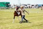 SBM_05461