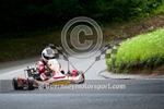 Hill Kart_2010-69