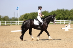 SBM_009041