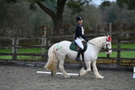 Wheatlands Christmas Dressage Fundraiser 14-12-24 portfolio