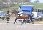 BPP_8771