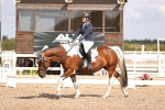 SBM_03729